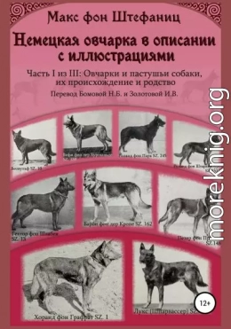 Немецкая овчарка в описании с иллюстрациями. Часть I из III: Овчарки и пастушьи собаки, их происхождение и родство