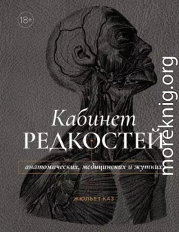 Кабинет редкостей – анатомических, медицинских и жутких
