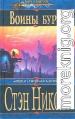 Воины Бури