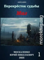 Перекресток судьбы 2. Маг. Книга первая