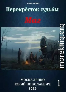 Перекресток судьбы 2. Маг. Книга первая