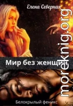 Мир без женщин