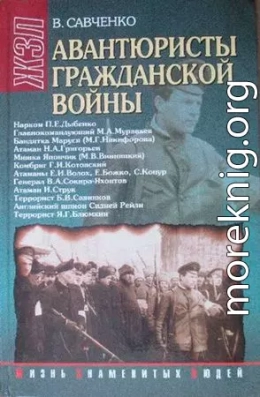 Авантюристы гражданской войны: историческое расследование