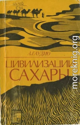 Цивилизации Сахары. Десять тысячелетий истории, культуры и торговли. 2-е изд.