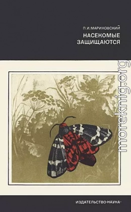 Насекомые защищаются