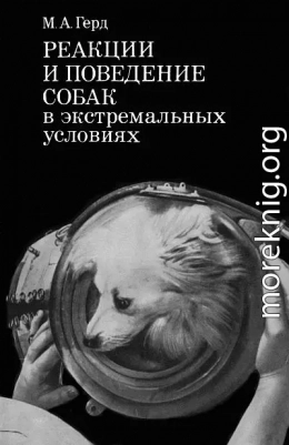 Реакции и поведение собак в экстремальных условиях