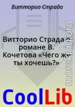 Витторио Страда о романе В. Кочетова «Чего же ты хочешь?»