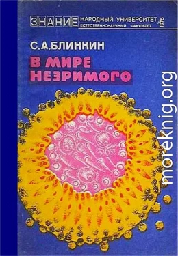 В мире незримого