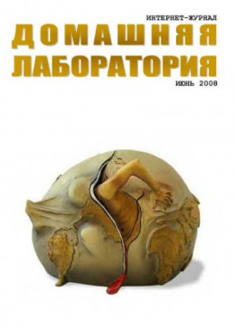 обложка Интернет-журнал "Домашняя лаборатория", 2008 №6