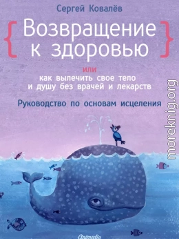 Возвращение к здоровью или как вылечить свое тело и душу без врачей и лекарств. Руководство по основам исцеления