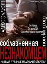 Соблазненная незнакомцем (ЛП)