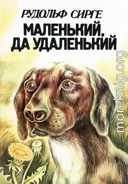 Маленький, да удаленький