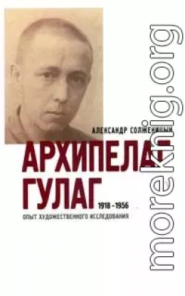 Архипелаг ГУЛАГ. 1918-1956: Опыт художественного исследования. Т. 3