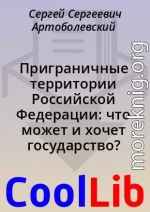 Приграничные территории Российской Федерации: что может и хочет государство?