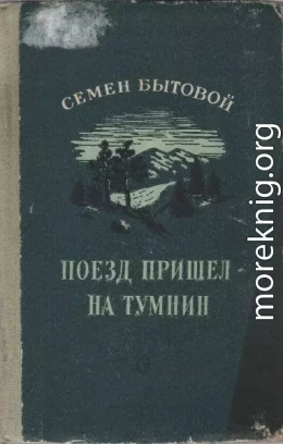 Поезд пришел на Тумнин