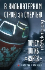 В кильватерном строю за смертью. Почему погиб «Курск»