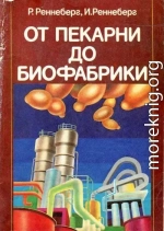 От пекарни до биофабрики. Обзор достижений биотехнологии