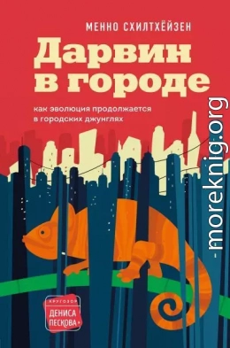 Дарвин в городе: как эволюция продолжается в городских джунглях