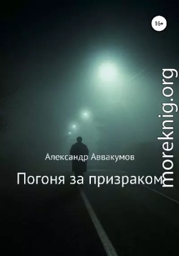 Погоня за призраком