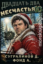 Двадцать два несчастья. Том 10