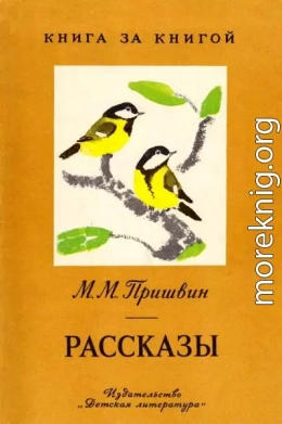 Рассказы [авторский сборник]