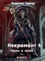 Некромант. Жизнь после Смерти. Книга 4 (СИ)