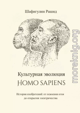 Культурная эволюция Homo sapiens. История изобретений: от освоения огня до открытия электричества