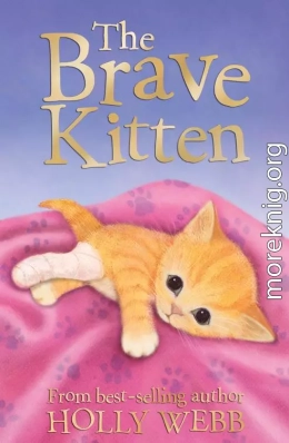 The Brave Kitten