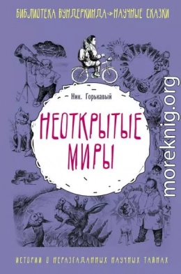 Неоткрытые миры