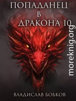 Попаданец в Дракона 10