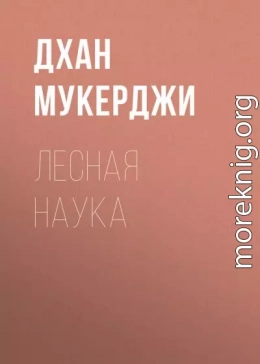 Лесная наука