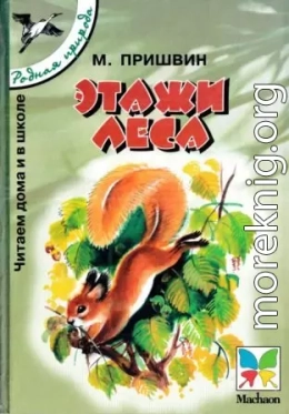 Этажи леса. Рассказы для детей [сборник 2000, худ. Т. Васильева]