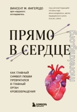 Прямо в сердце. Как главный символ любви превратился в главный орган кровообращения