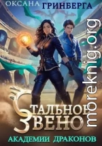 Стальное звено Академии Драконов
