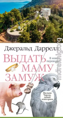 Выдать маму замуж