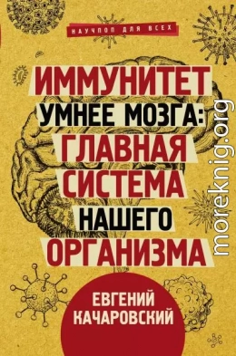 Иммунитет умнее мозга. Главная система нашего организма