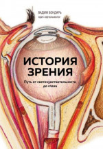 История зрения: путь от светочувствительности до глаза