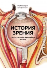 История зрения: путь от светочувствительности до глаза