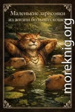 Маленькие зарисовки из жизни больших кошек