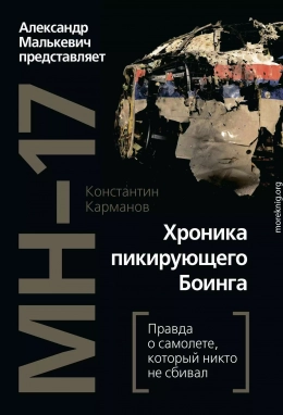 MH-17. Хроника пикирующего Боинга. Правда о самолете, который никто не сбивал