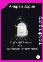 Сорок три минуты, или Кратчайшая история любви