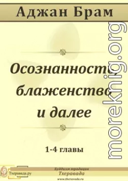 Осознанность, блаженство и далее