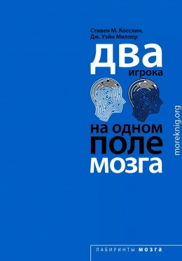 Два игрока на одном поле мозга