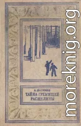 Тайна Гремящей расщелины (сборник)