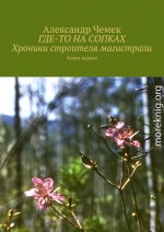 Где-то на сопках. Хроники строителя магистрали. Книга 1