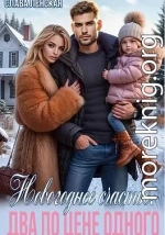Новогоднее счастье. Два по цене одного