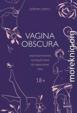 Vagina obscura. Анатомическое путешествие по женскому телу