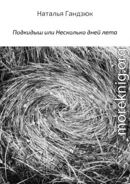 Подкидыш, или Несколько дней лета