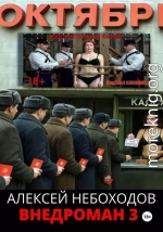 Внедроман 3