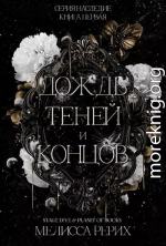 Дождь теней и концов